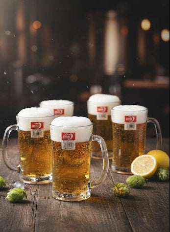 Beer Mug 6 Pcs set ZB97