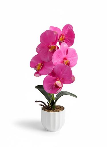 Orchid A17 Ceramic Pot
