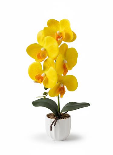 Orchid A17 Ceramic Pot