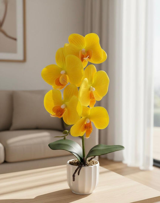 Orchid A17 Ceramic Pot