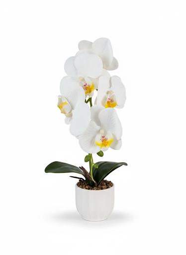 Orchid A17 Ceramic Pot