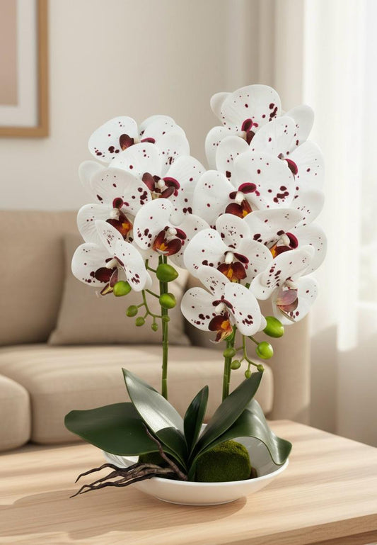 Orchid DB-1 Ceramic Pot