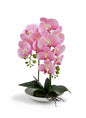 Orchid DB-1 Ceramic Pot