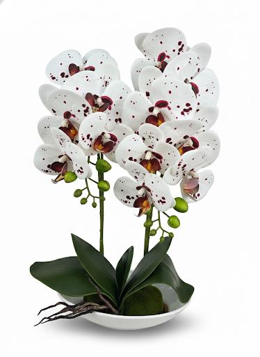 Orchid DB-1 Ceramic Pot
