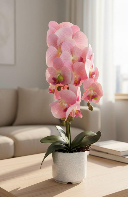 Orchid DB7 Ceramic Pot