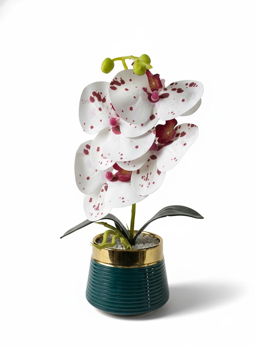 Orchid P1 Ceramic Pot