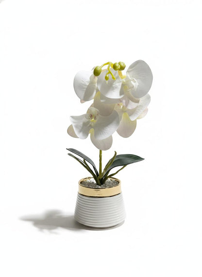 Orchid P1 Ceramic Pot