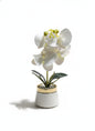 Orchid P1 Ceramic Pot