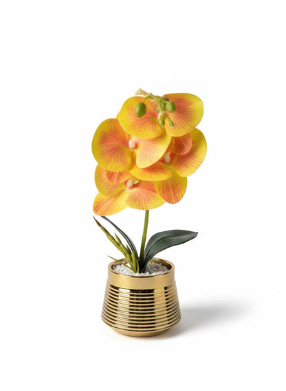 Orchid P1 Ceramic Pot