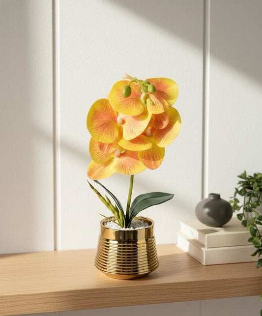 Orchid P1 Ceramic Pot
