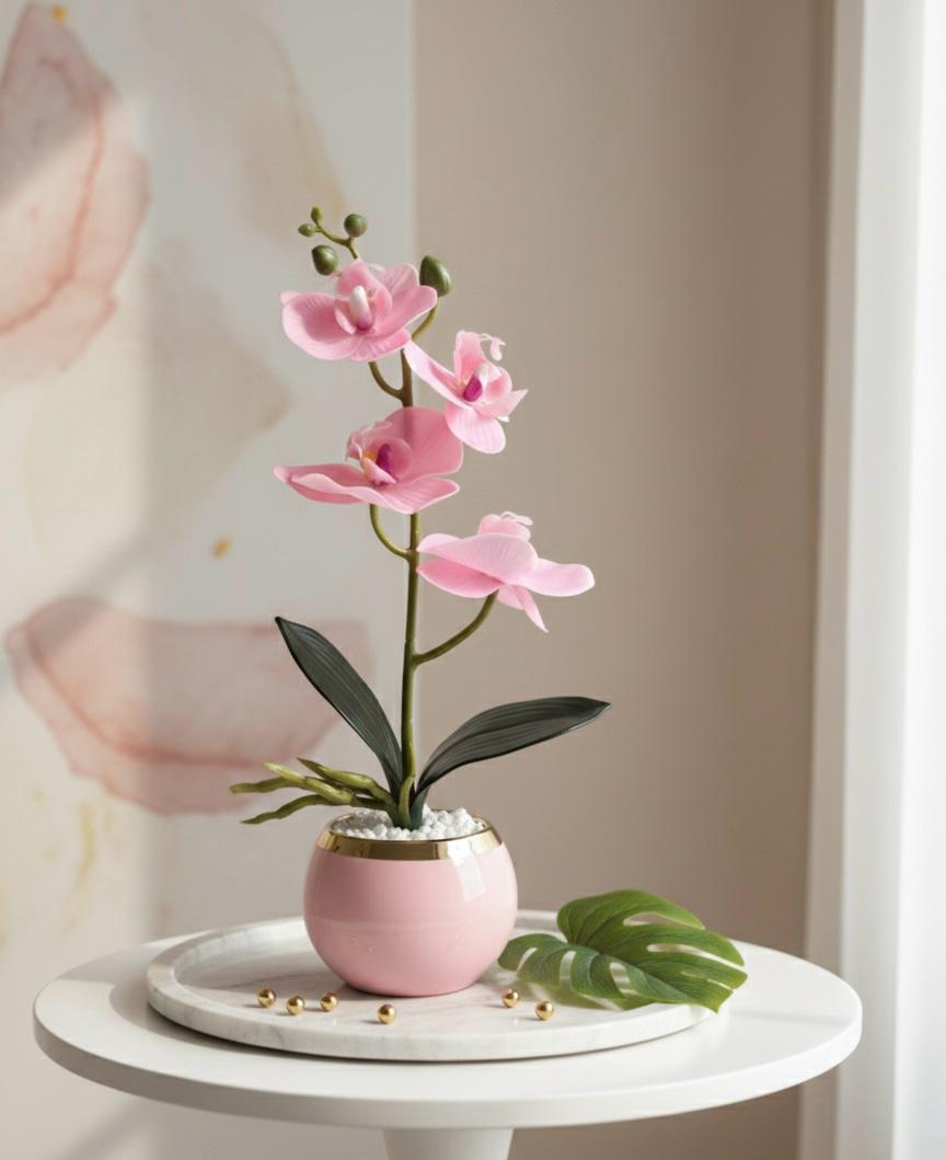 Orchid P4 Ceramic Pot