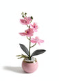 Orchid P4 Ceramic Pot