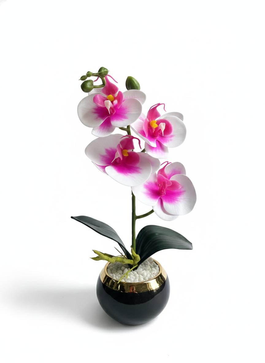 Orchid P4 Ceramic Pot