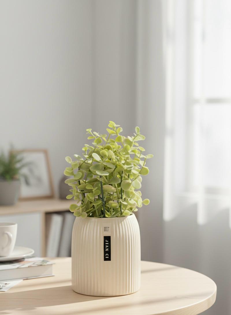 Plant B5 Ceramic Pot