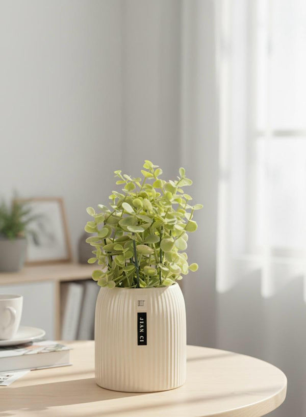 Plant B5 Ceramic Pot