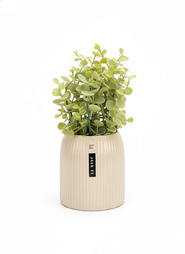 Plant B5 Ceramic Pot